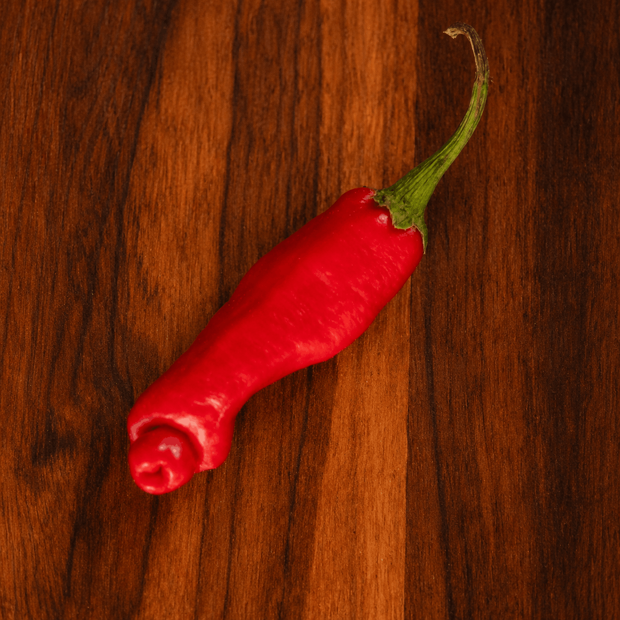Pepper